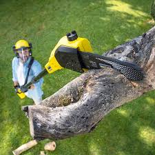 Lawn Pest Prevention in Staples, CT