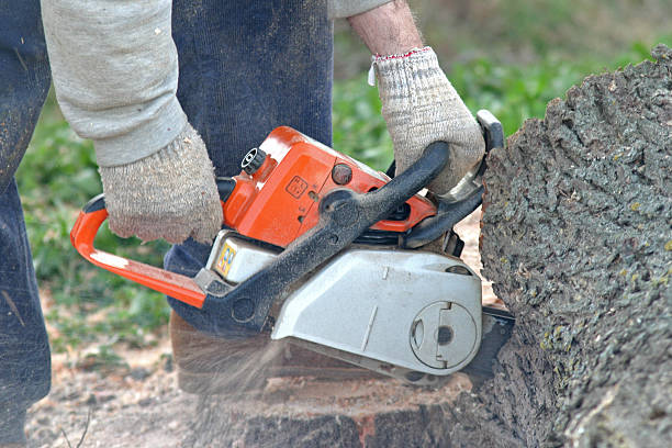 Soil Testing and Treatment in Staples, CT